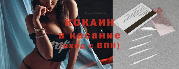 не бодяженный Бородино