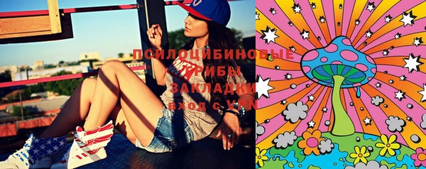 шишки Верхнеуральск