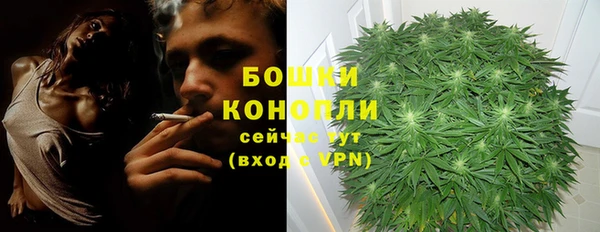 не бодяженный Бородино