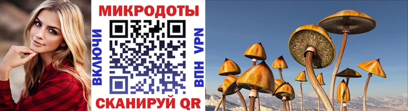 Псилоцибиновые грибы Magic Shrooms  Вязники 